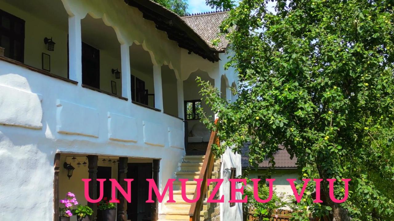 Conacul Copilăriei - B&B