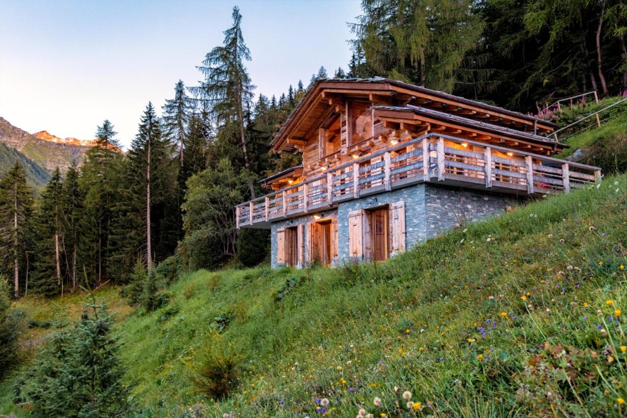 Authentic Swiss Spa Chalet Nesoya Jacuzzi Sauna - B&B
