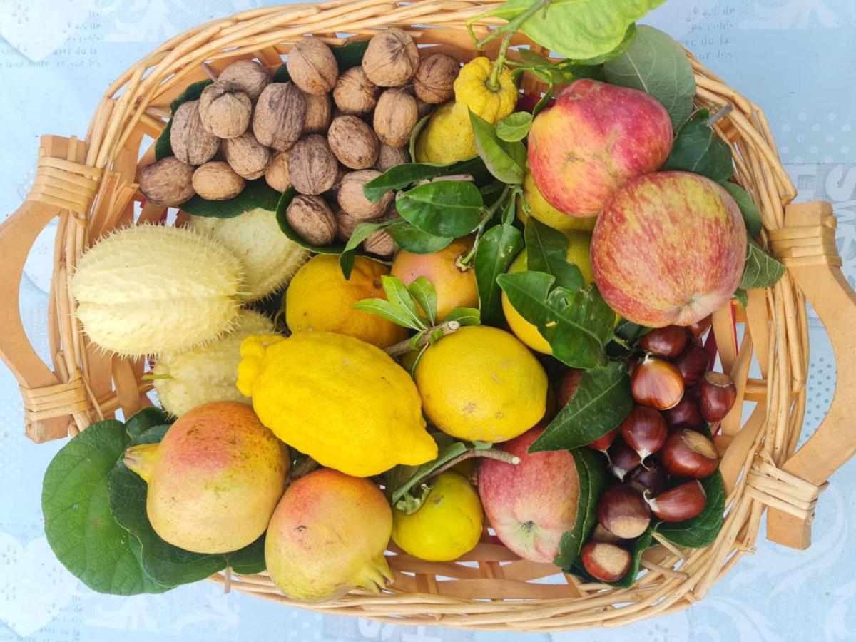 Appartement met 2 slaapkamers