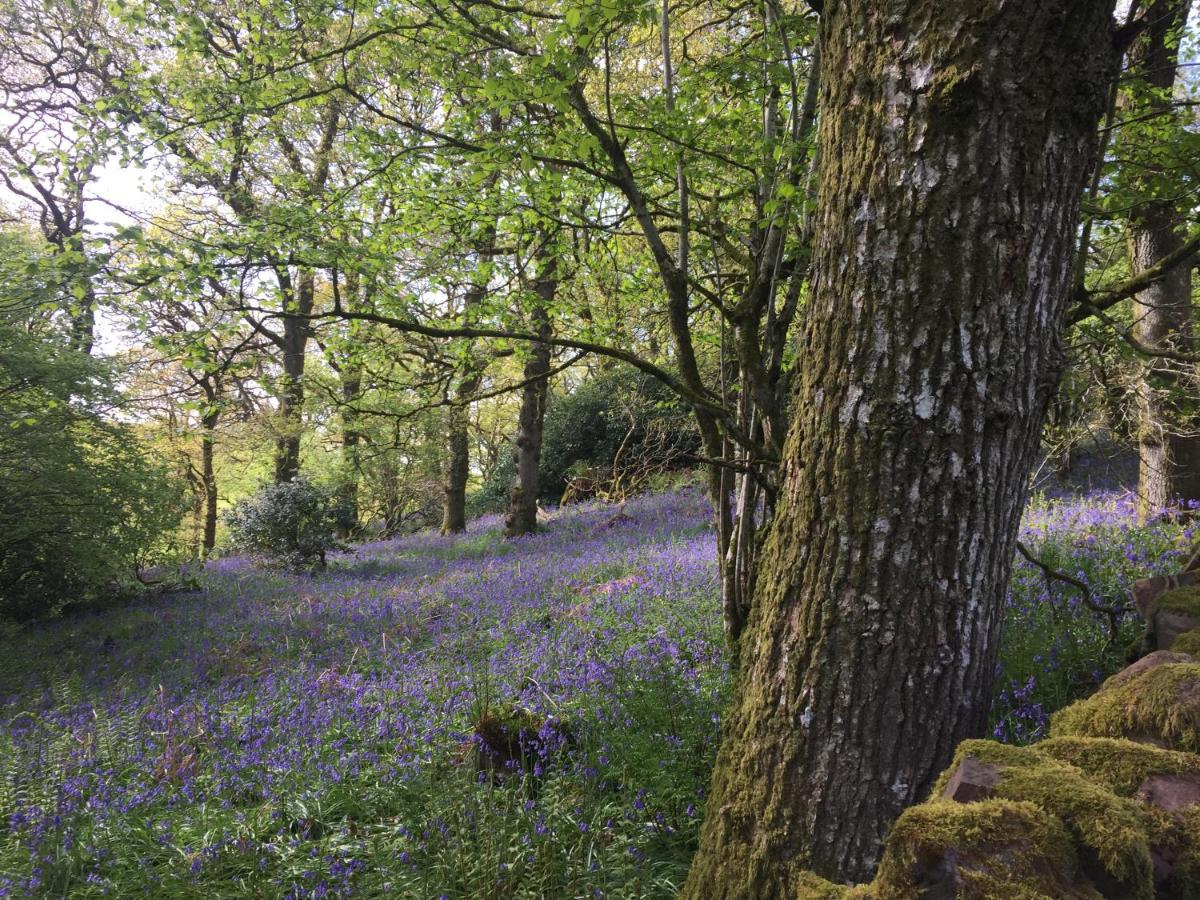 B&B Closeburn - Scottish Organic Farm Cottage - Bed and Breakfast Closeburn