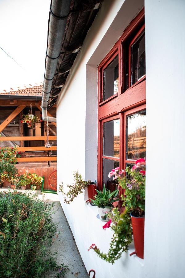 Casa Vacanze