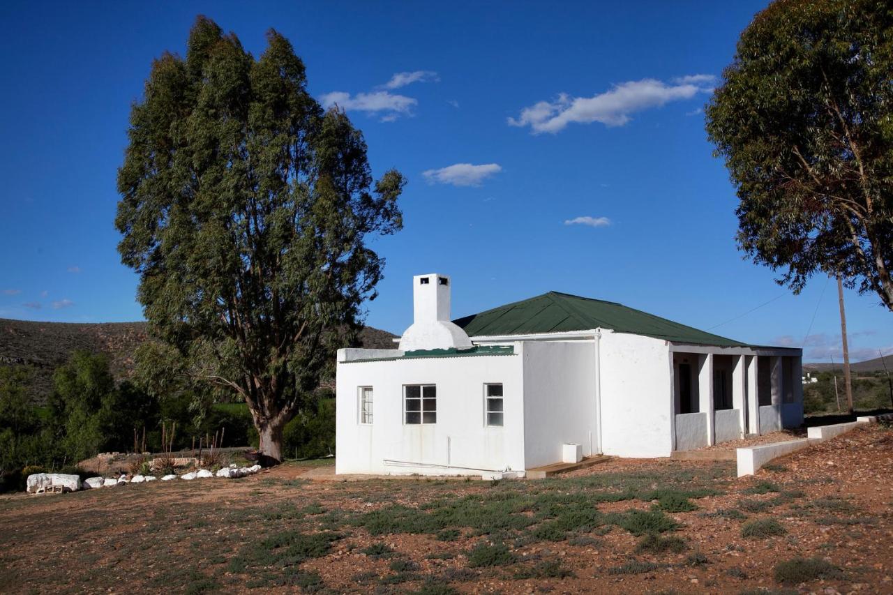 Vaalwater Lodge & Bush Camp - Bed and Breakfast