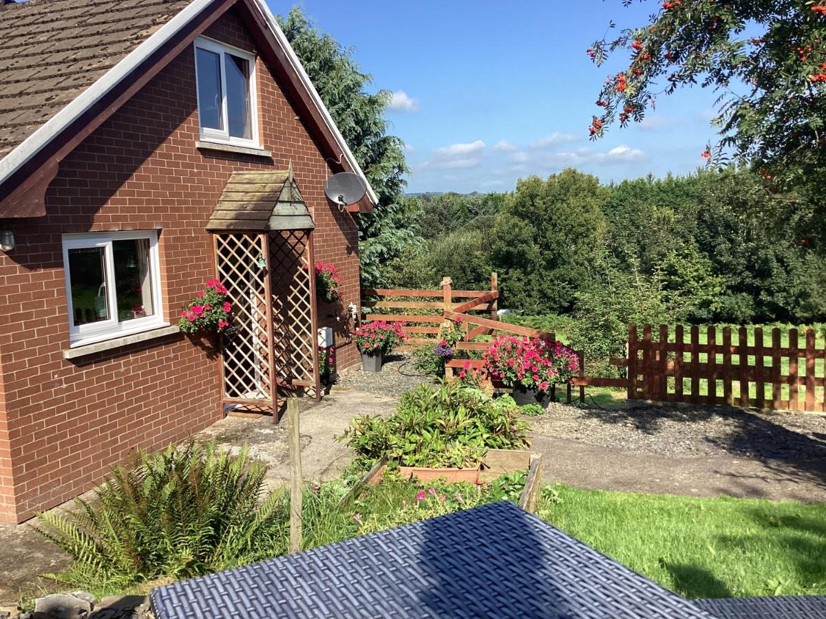 B&B Llanybydder - Cartref Bach - Bed and Breakfast Llanybydder