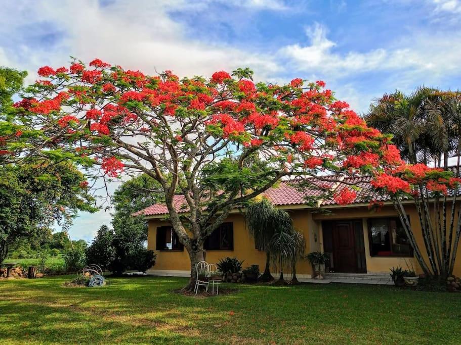 B&B São João do Polêsine - Casa de campo perto do RECANTO MAESTRO - Bed and Breakfast São João do Polêsine