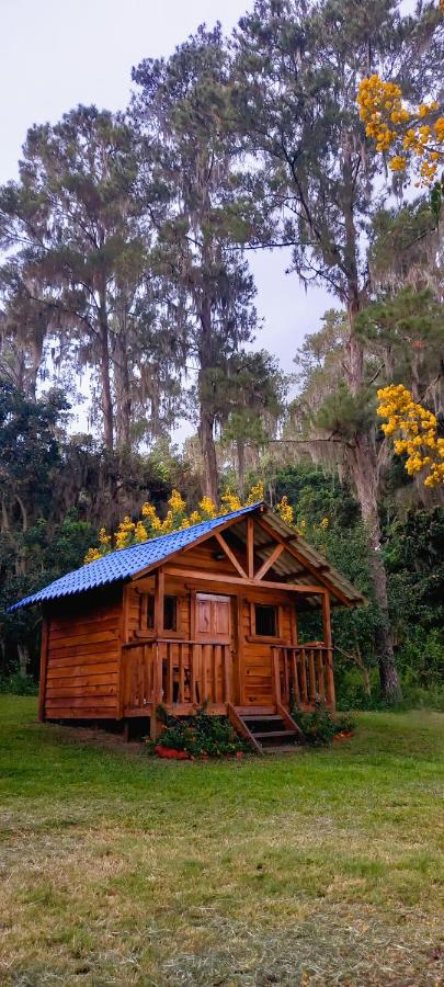 B&B Constanza - Pinar del Valle - Glamping en el Bosque - Propiedad Completa en Constanza - Bed and Breakfast Constanza