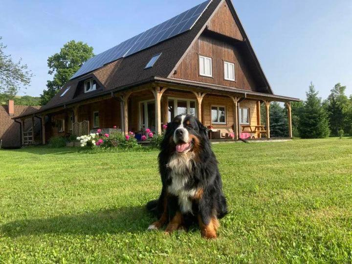 B&B Jaśliska - Gutkowa Koliba - Bed and Breakfast Jaśliska