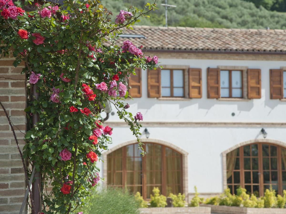 B&B Recanati - Terra Del Sole - Bed and Breakfast Recanati