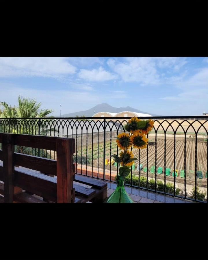 B&B Scafati - La Smorfia - Bed and Breakfast Scafati