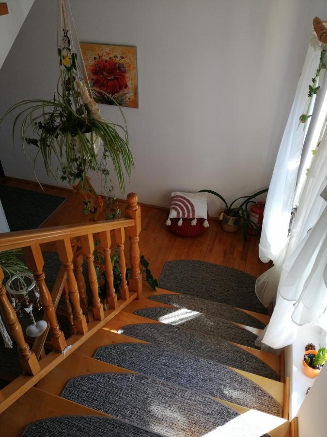 Pensiunea Transilvania Lodge - B&B Bran