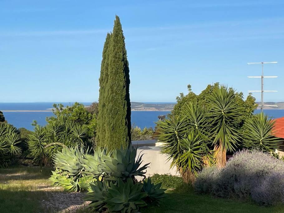 Studio on Wakelin - B&B
