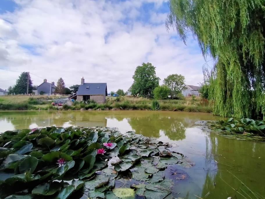 B&B La Bazoque - Bosny&Clyde : Havre de paix en campagne Normande - Bed and Breakfast La Bazoque