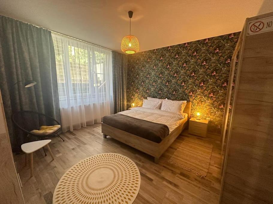 NewLevel Studio Brasov - B&B Braşov