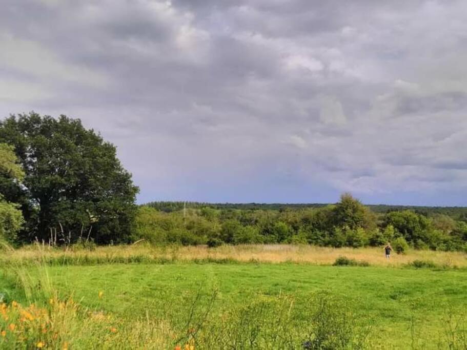 L'Escale Buissonnière - Cosy and quiet house - B&B Rochefort