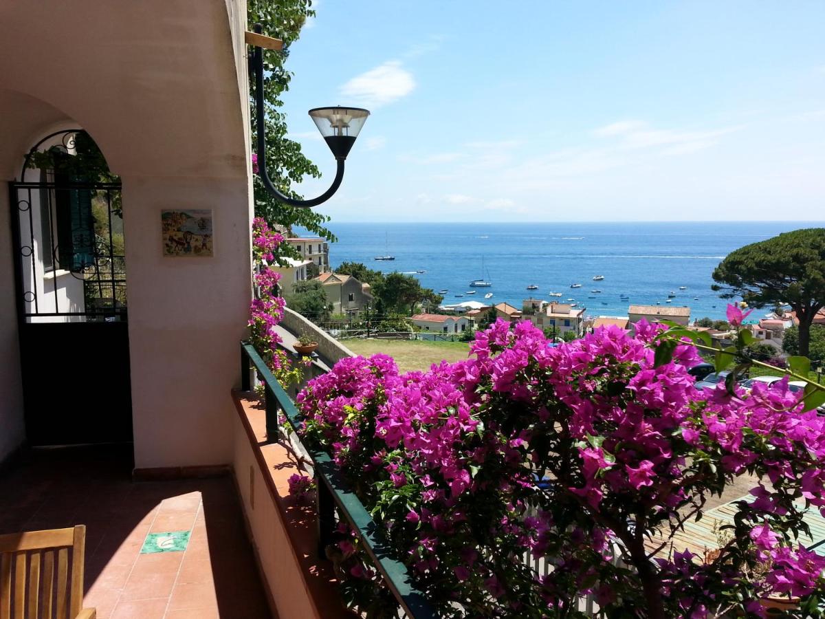 B&B Cetara - Casa Vacanze Bouganvillea - Bed and Breakfast Cetara