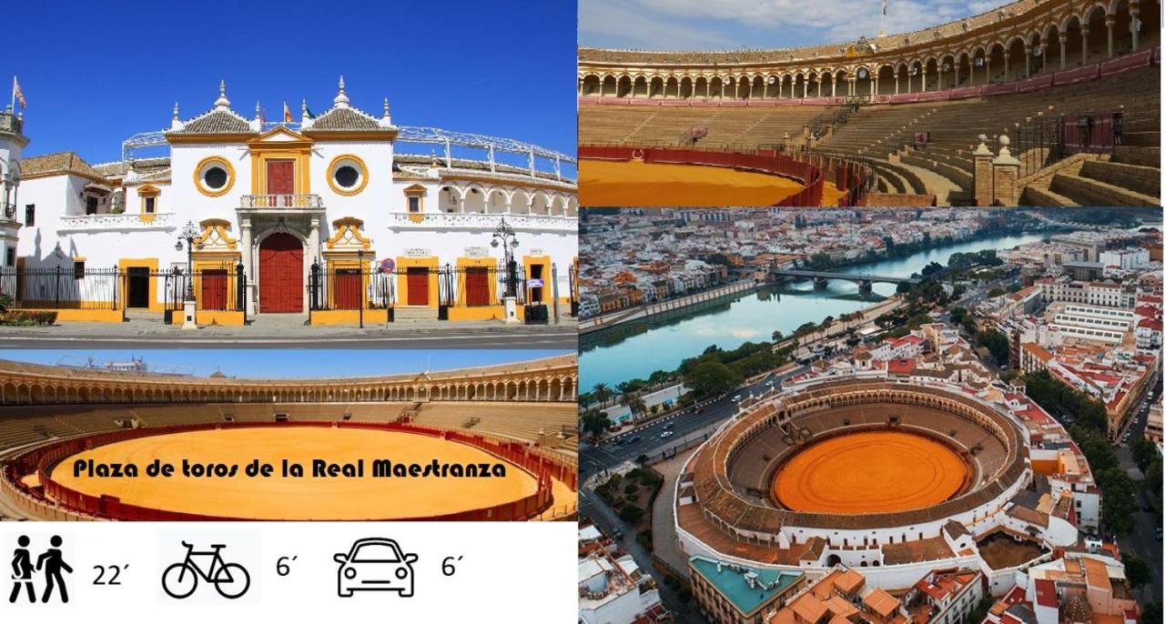 SleepIn Triana - Bed and Breakfast