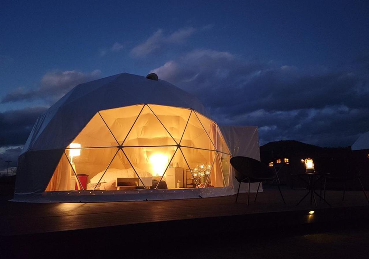 Glamping Dome with forest view