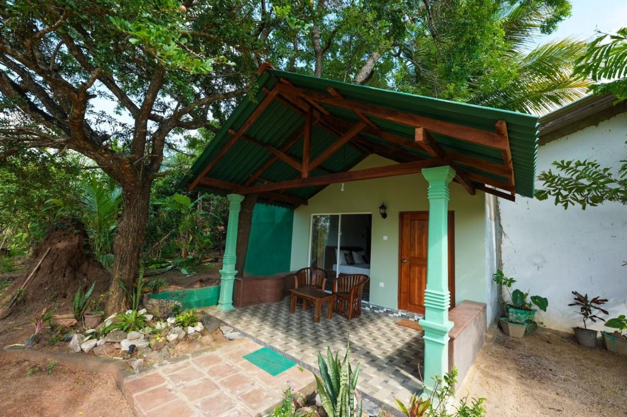 Sigiri Close-up View Guest - B&B