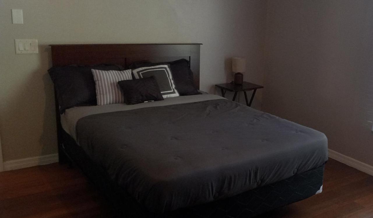 The Blu door spot in st.pete - B&B