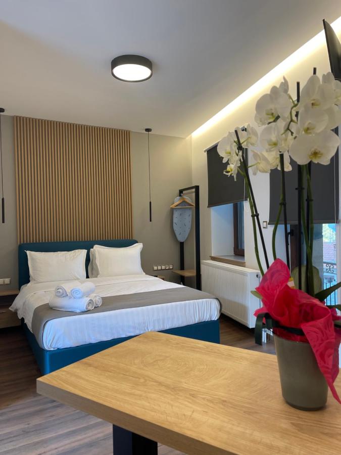 B&B Metsovo - 11 Luxury apartments. - Bed and Breakfast Metsovo