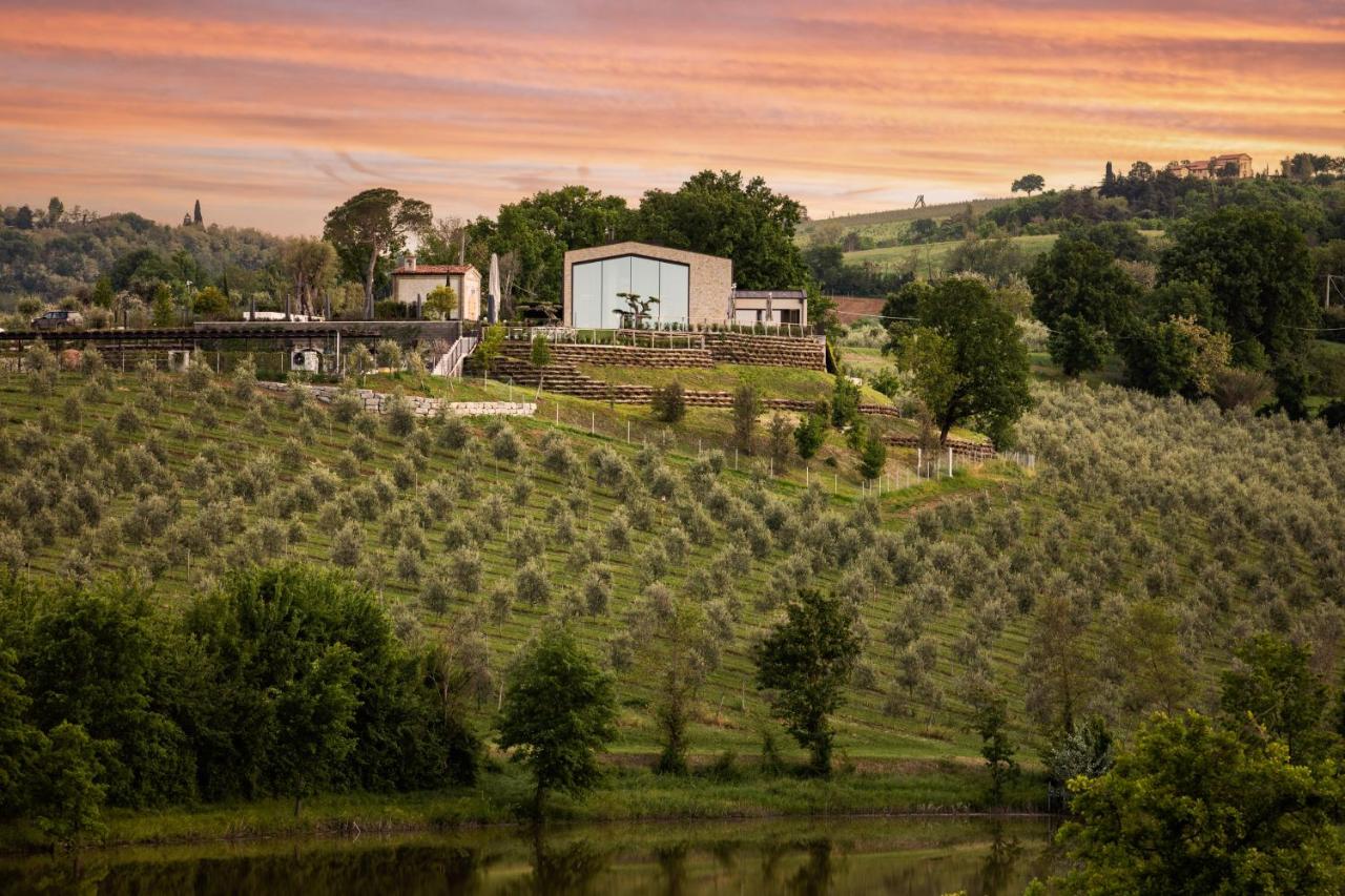 Country House Oliveto sul Lago - Ferienwohnung