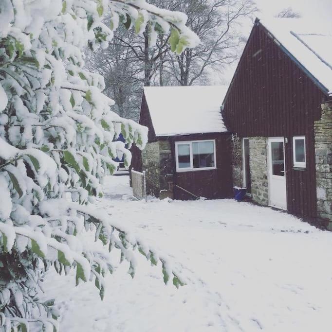 Y Boidy Bach - B&B Llangrannog