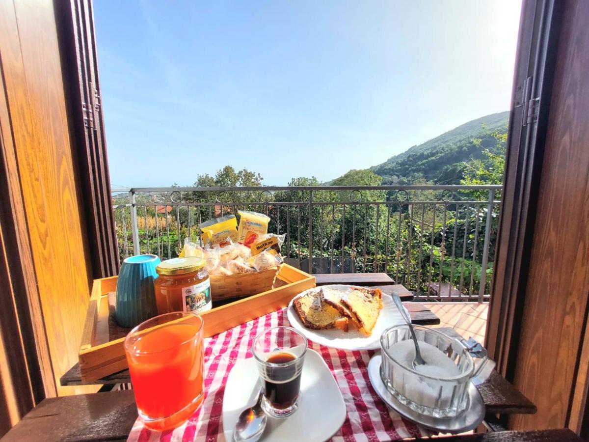 Agriturismo il Pettirosso - B&B