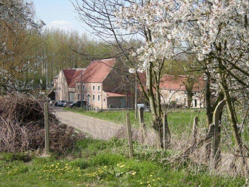 B&B Borgloon - De Verborgen Parel - Bed and Breakfast Borgloon