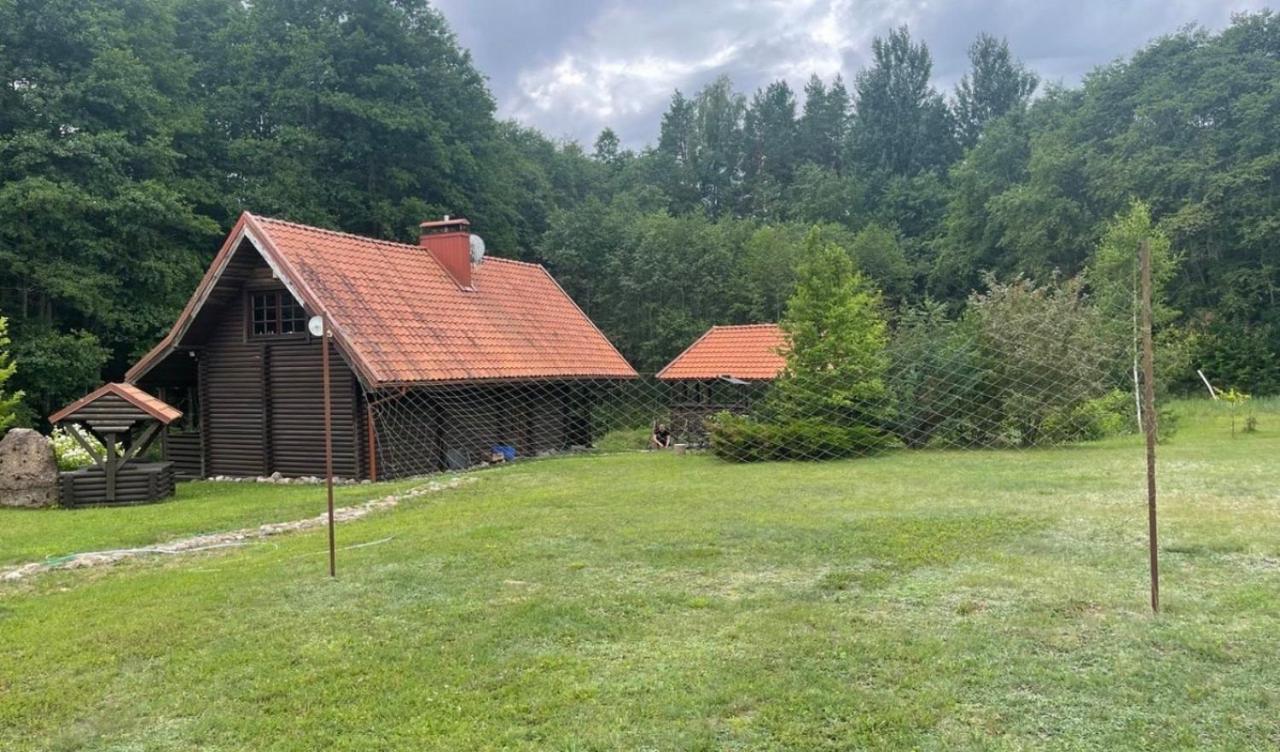 Forest House - B&B