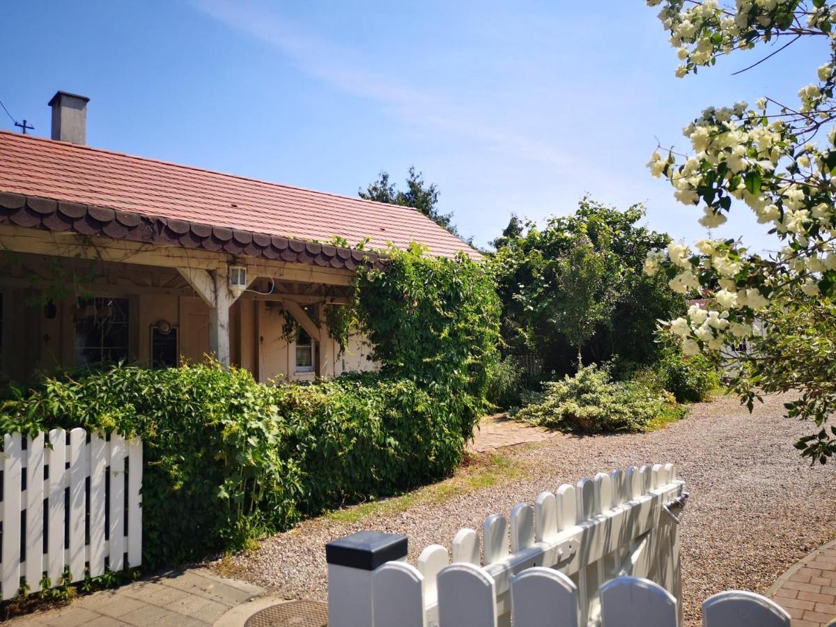 Agroturystyka Piotrogródek - B&B