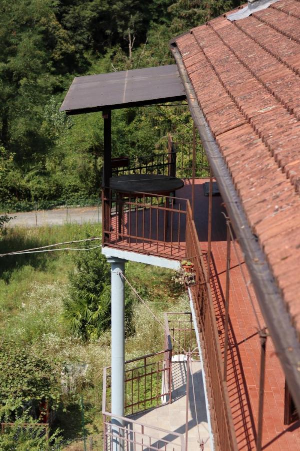 Natura tra bosco e lago - Ferienwohnung Castelveccana