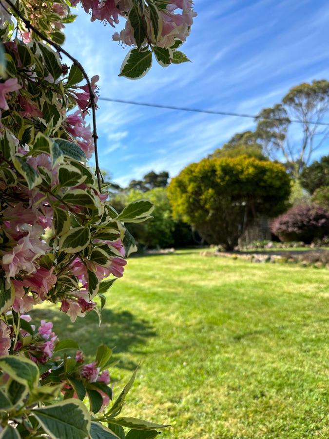 Two Twenty Two Farm Stay - B&B Grassy