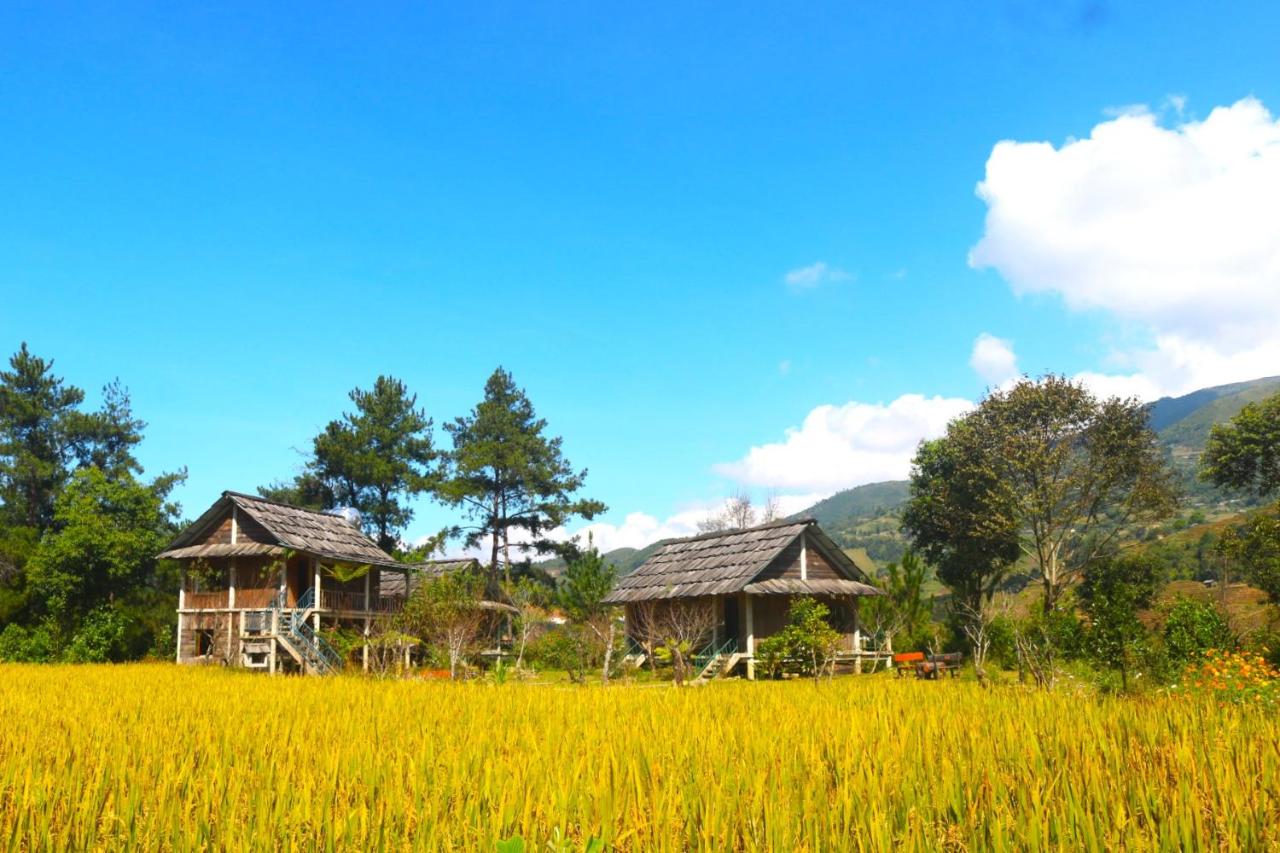 Lapantan Paradise - B&B