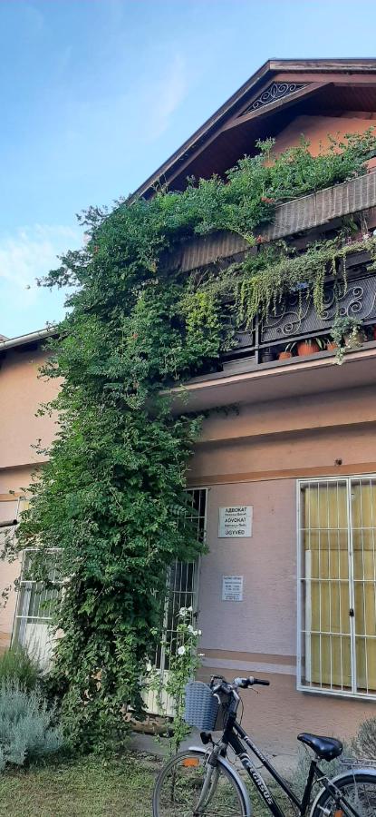 Apartman Zamak Sombor - B&B