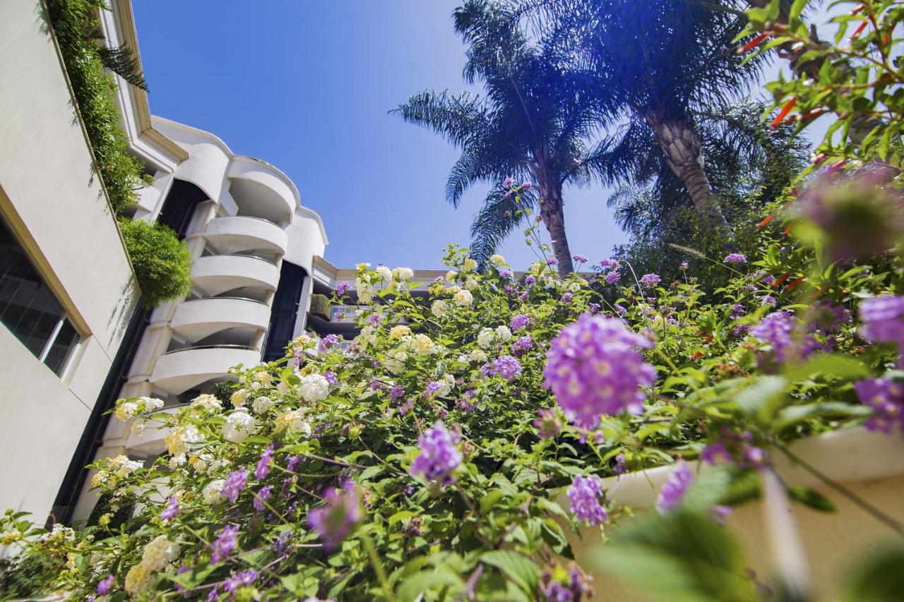 Apartamento Puerto Banus - B&B