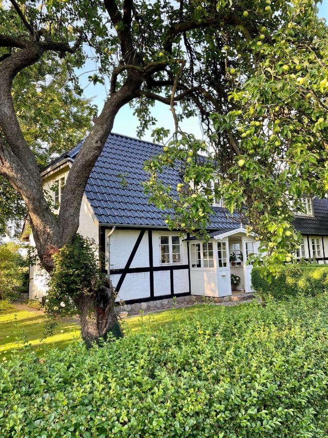 B&B Nykobing Falster - Strandby 1847 B&B - Bed and Breakfast Nykobing Falster