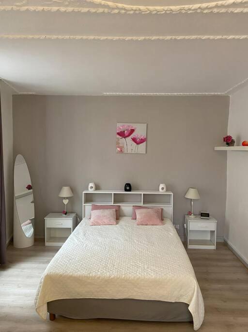 B&B Luxeuil-les-Bains - Le Petit Nid Douillet - Bed and Breakfast Luxeuil-les-Bains