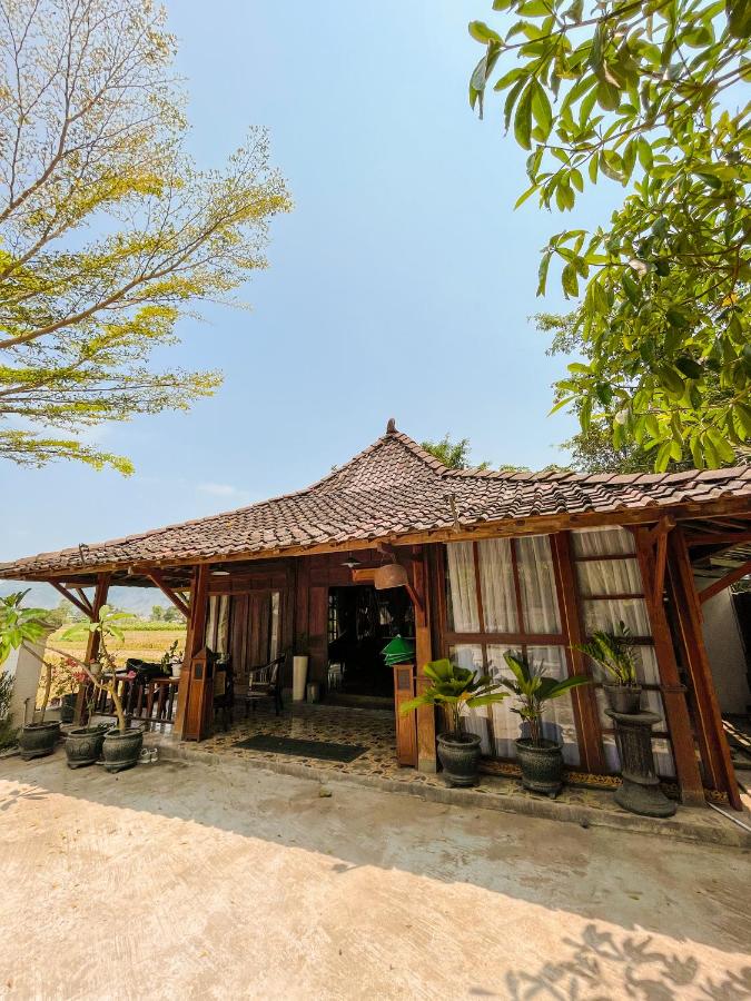 VILLACANTIK Yogyakarta triple bed for six persons - B&B