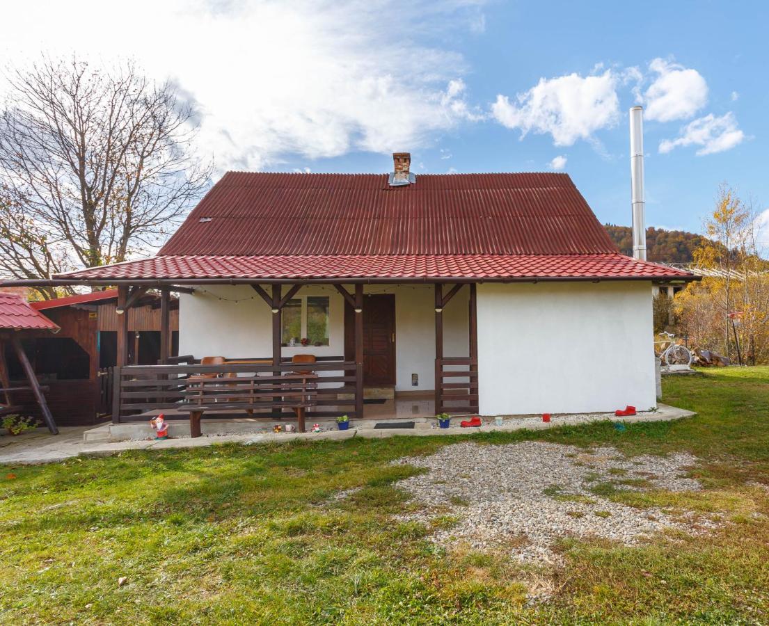 Casa De Vacanta Armi - Chambres d’hôtes Molid