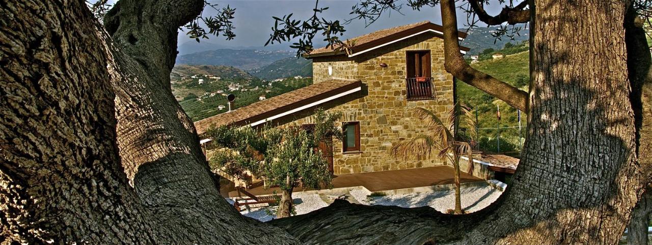Liseda - B&B Castellabate