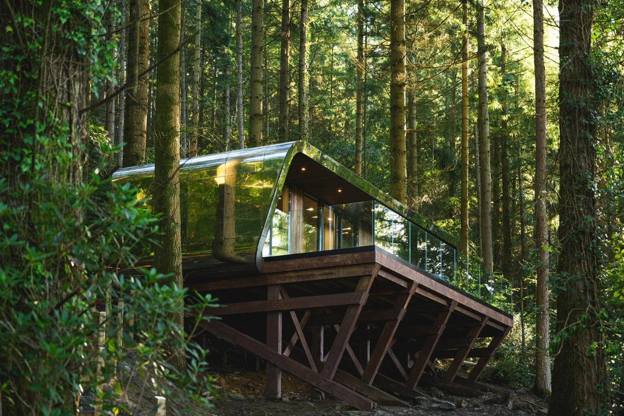 Forest Lodges - B&B