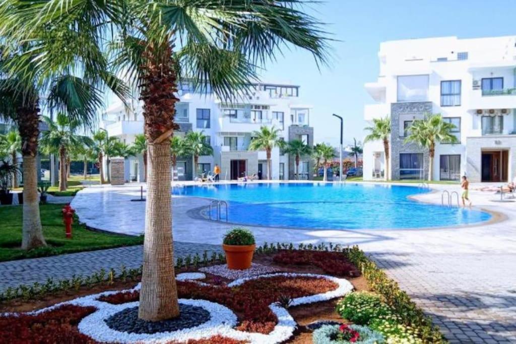 Appartement de luxe ,piscine,parking,Terrasse - B&B Agadir