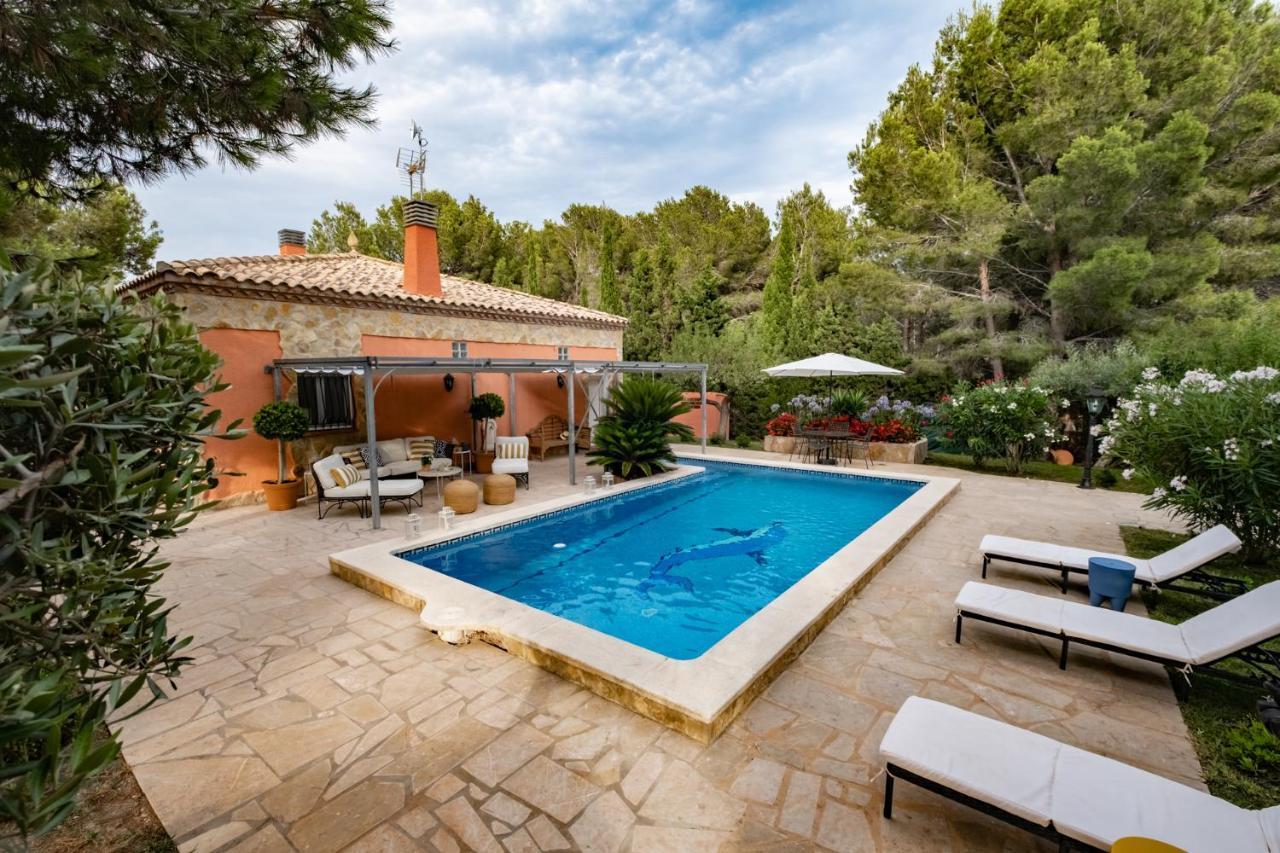 Casa Pura Vida - B&B