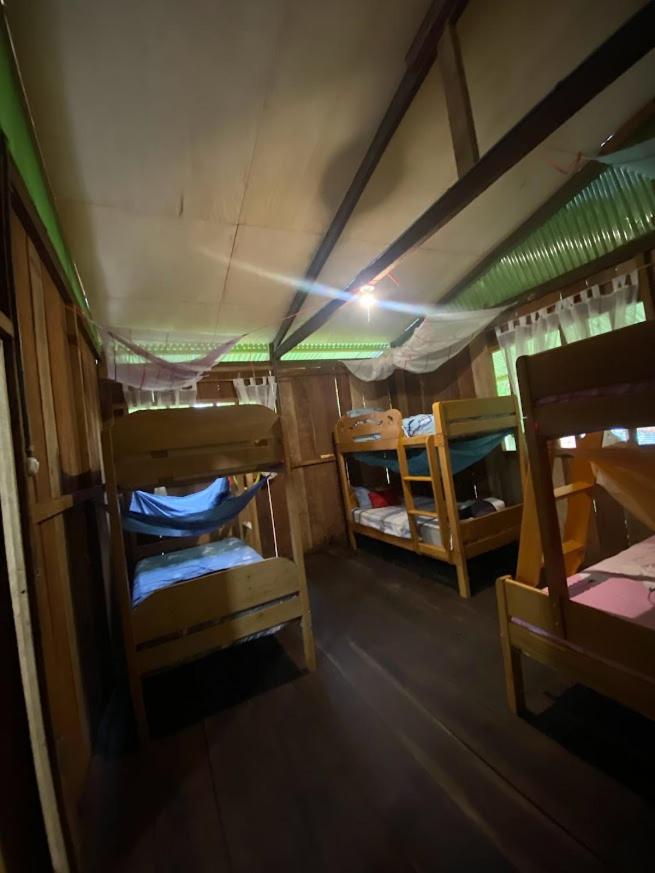 Habitación Compartida Mixta de 6 camas