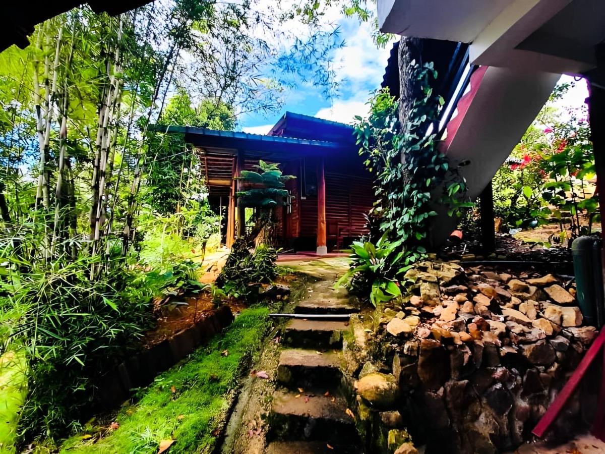 Quadruple Room with Garden View