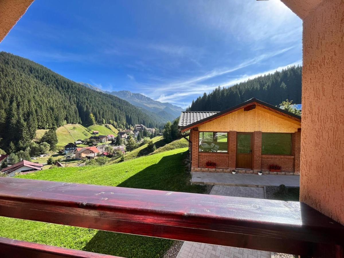 Matei Moieciu De Sus - B&B