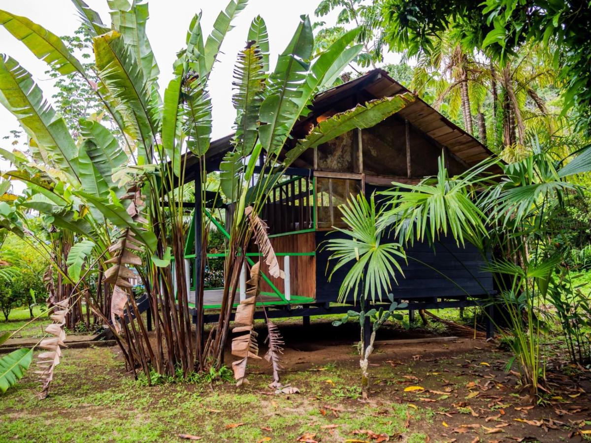Bungalow with Garden View