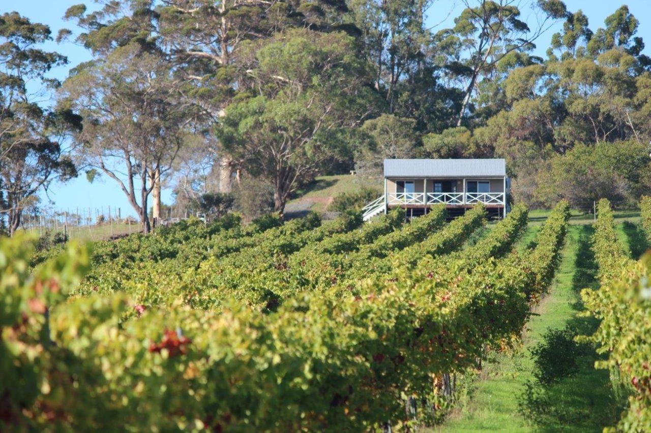 The Sleeping Lady Private Retreat - B&B Porongurup