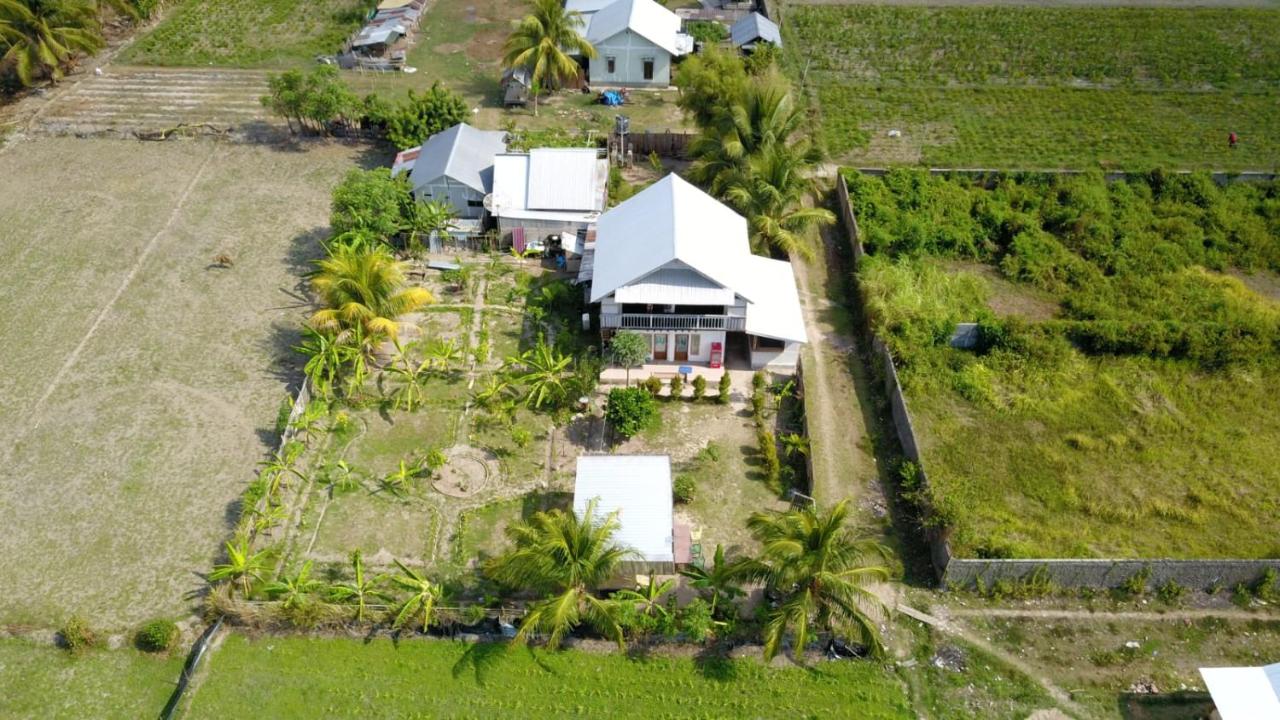 The Daun Puntik HomeStay - Ferienwohnung Pemenang