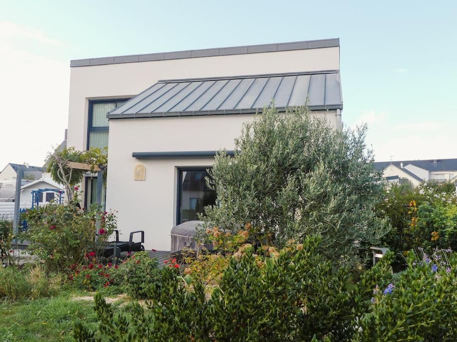 B&B Plouhinec - Maison centre et plages - Bed and Breakfast Plouhinec