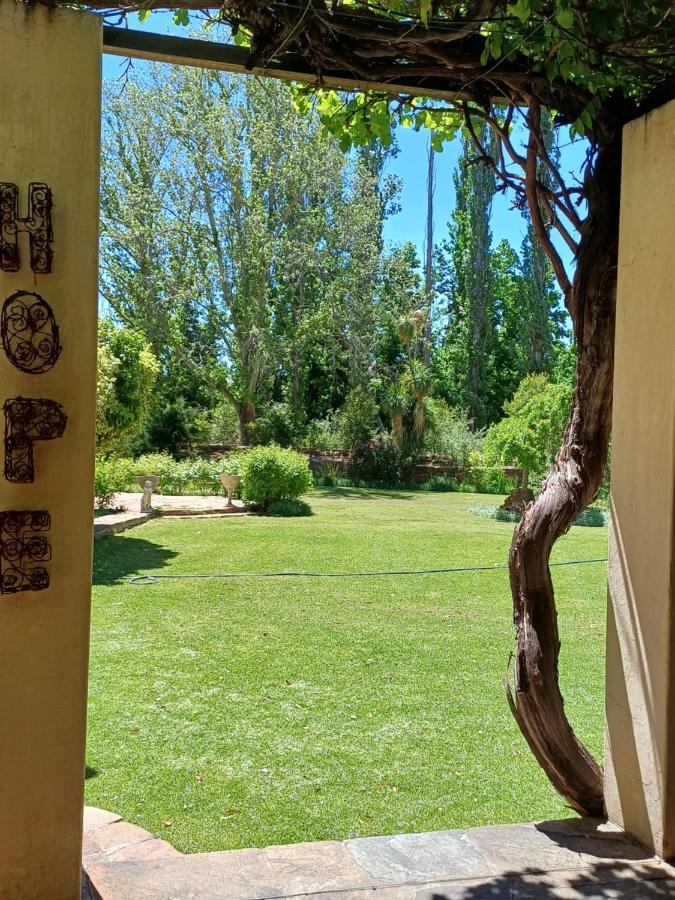 Studio with Garden View